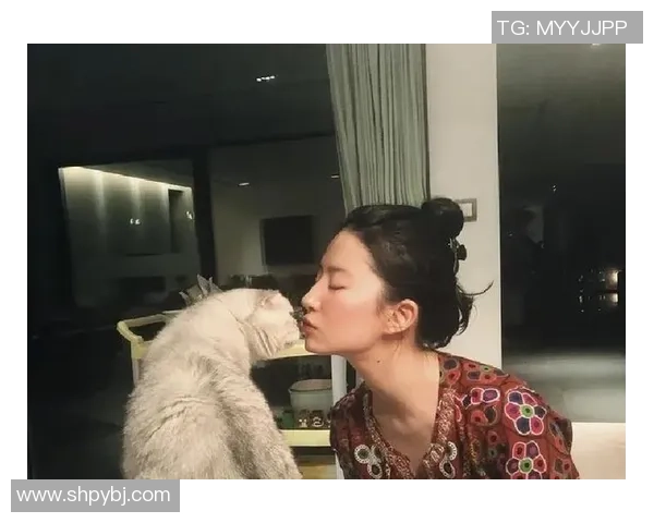 养猫的足球明星是谁他与爱猫的温馨故事揭秘