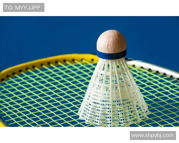 重庆羽毛球队在世界锦标赛中的战术分析与表现评估