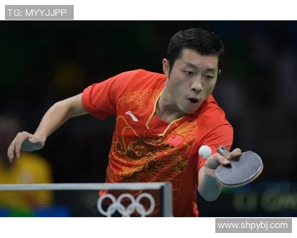 上海乒乓球队创新高配合排名引发热议展现团队实力与默契