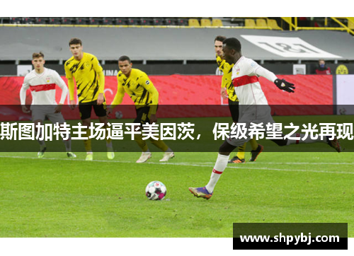 斯图加特主场逼平美因茨，保级希望之光再现