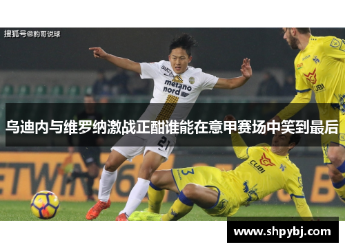 乌迪内与维罗纳激战正酣谁能在意甲赛场中笑到最后